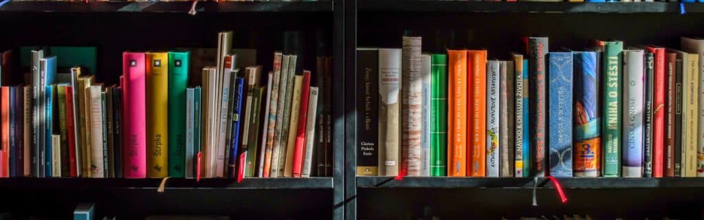 lettura veloce importante | Nicoletta Todesco