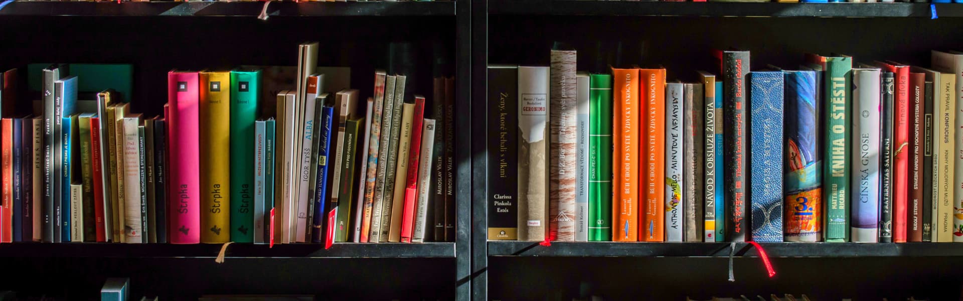 lettura veloce importante | Nicoletta Todesco