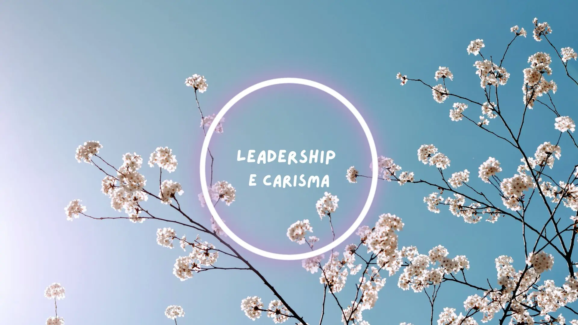 Leadeship in team